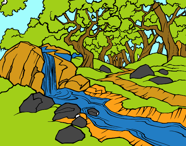 Paisaje de bosque con un río