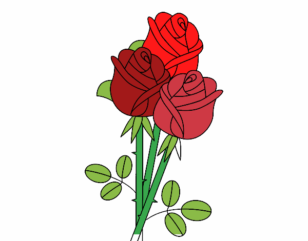 la rosa del amor