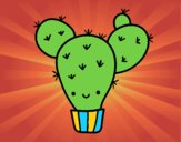 Cactus nopal