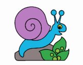 Caracol