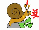 Caracol