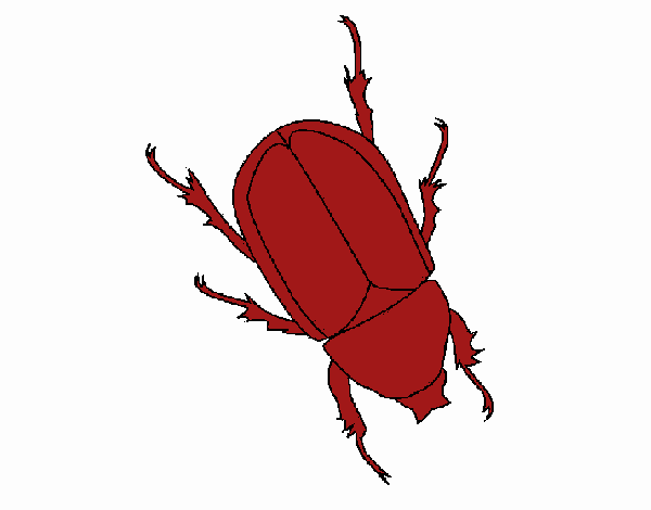 Escarabajo