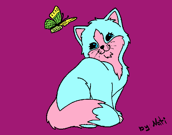 Gatito y mariposa