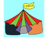 Circo