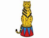 Tigre de circo