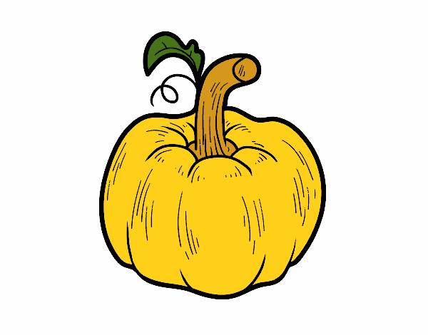 Una calabaza cucurbita