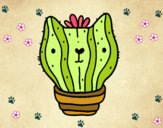 Cactus gato