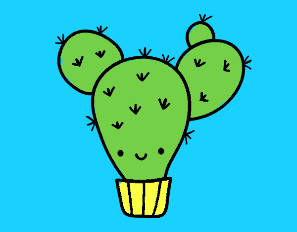 Cactus nopal