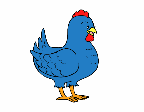 Gallina de una granja