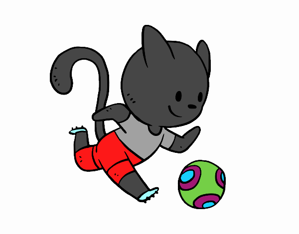 Gato jugando a fútbol