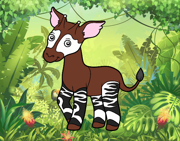 Okapi