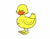 Patito de granja