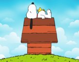 Snoopy durmiendo