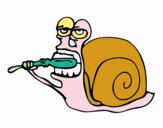 Caracol limpio