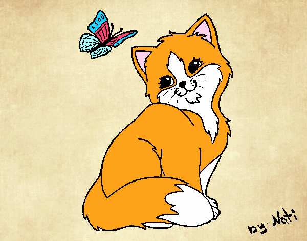 Gatito y mariposa