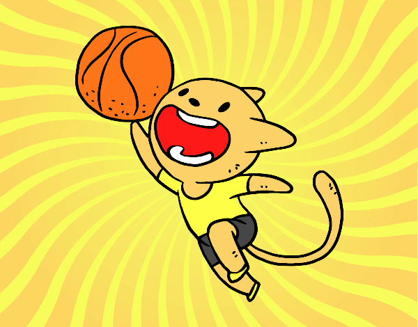 Gato jugando a baloncesto