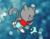 Gato jugando a fútbol