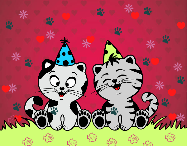 Gatos de cumpleaños