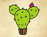 Cactus nopal