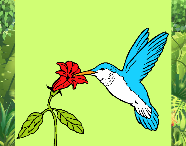 Dibujo de Colibrí y una flor pintado por en  el día 21-12-19 a  las 15:20:33. Imprime, pinta o colorea tus propios dibujos!