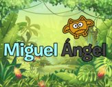 Miguel Ángel