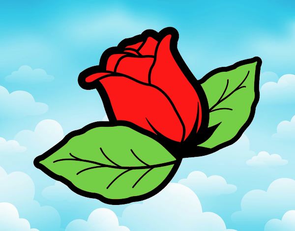 Rosa de mi corazón