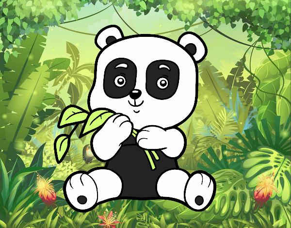 Un oso panda