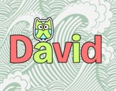 David