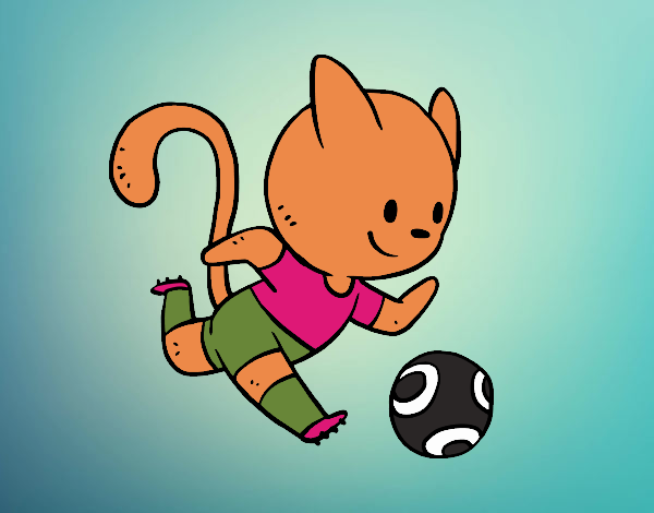 Gato jugando a fútbol