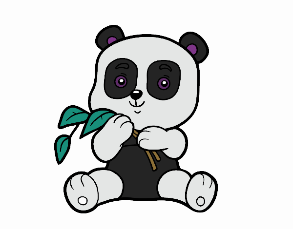 Un oso panda