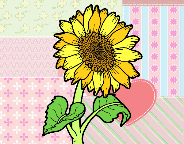 dibujo de girasol