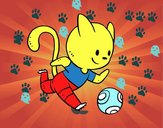 Gato jugando a fútbol