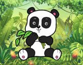 Un oso panda