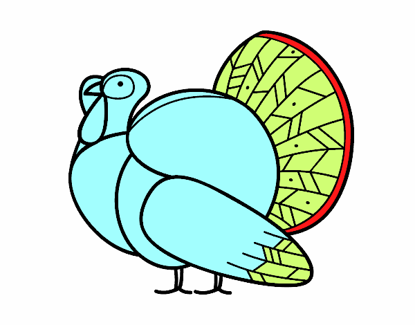 Un pavo