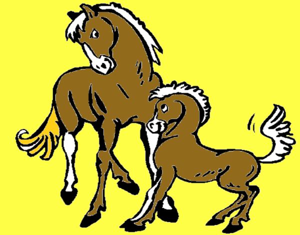 Caballos