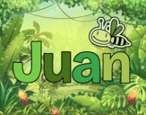 Juan