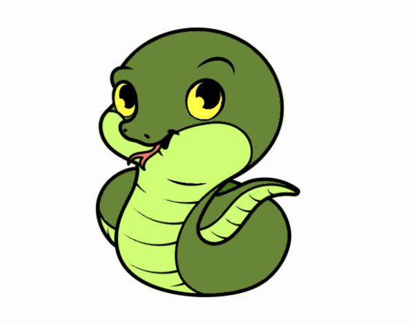 La serpiente bebé 