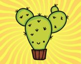 Cactus nopal