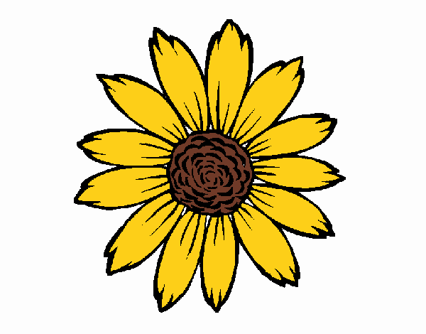 Dibujo De Girasol Pintado Por En El Día 26 01 20 A Las 190510 Imprime Pinta O 9680