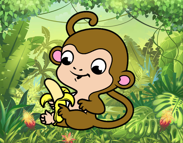 baby monkey