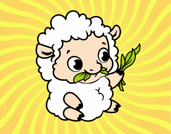 La ovejita Bebé