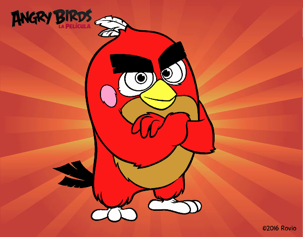 Red de Angry Birds