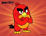 Red de Angry Birds