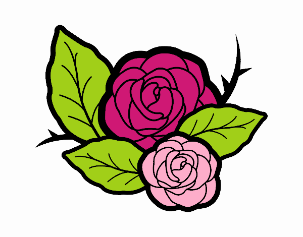 Dos rosas