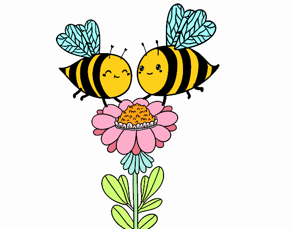 Pareja de abejas