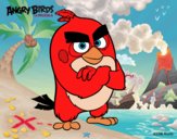 Red de Angry Birds