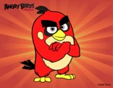 Red de Angry Birds