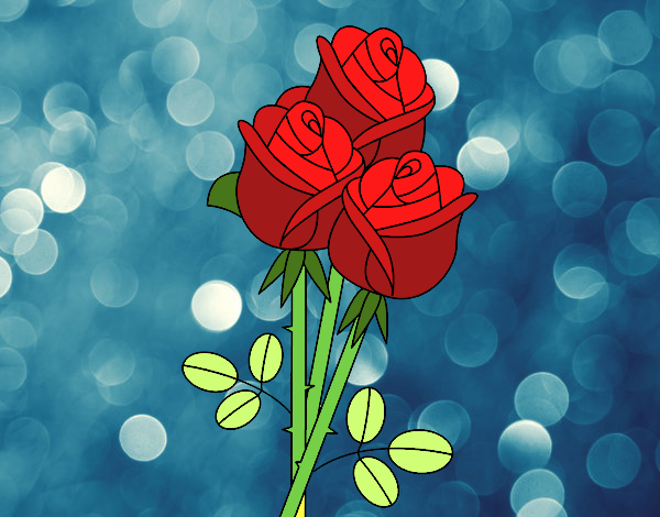 Dibujo de las rosas mas bellas dei mundo. pintado por en Dibujos.net el día  02-02-20 a las 23:28:20. Imprime, pinta o colorea tus propios dibujos!