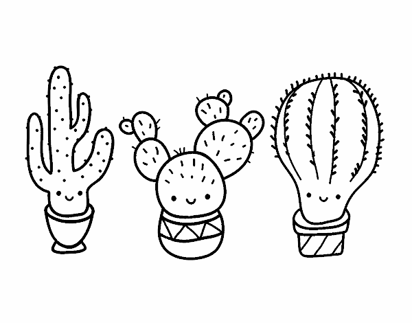 3 mini cactus