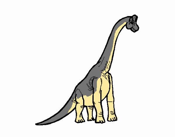 Dibujo de Braquiosaurio pintado por en  el día 04-02-20 a las  05:47:16. Imprime, pinta o colorea tus propios dibujos!